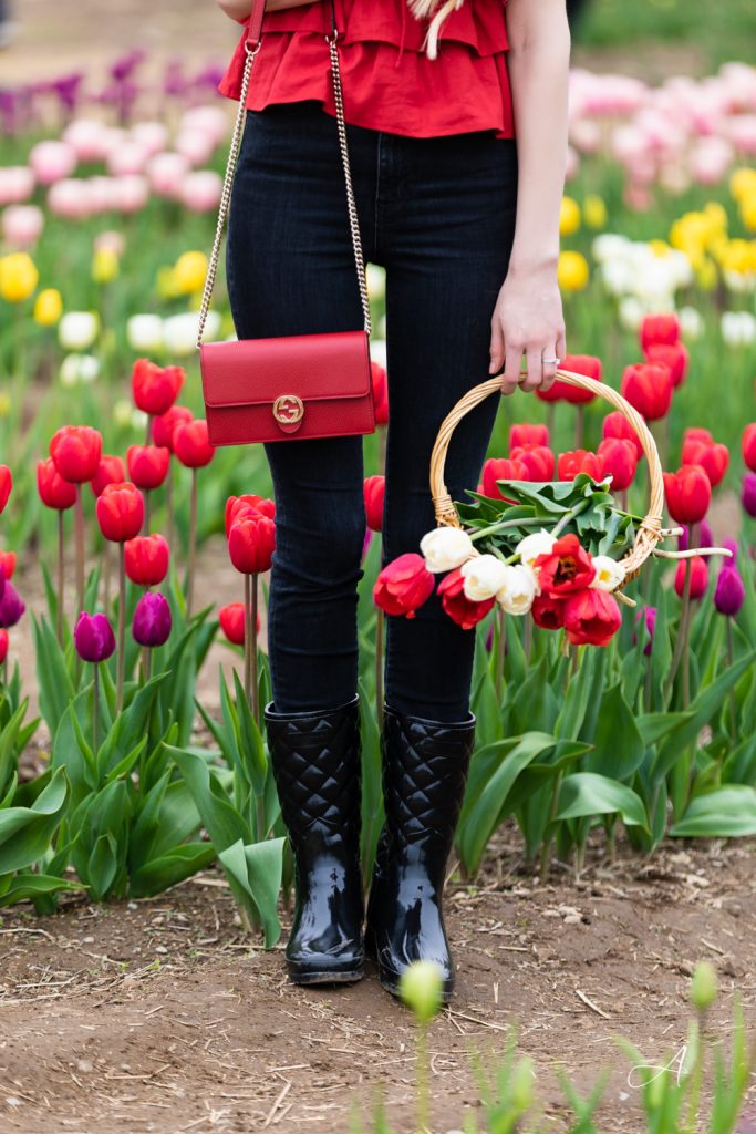 Wicked Tulips Farm Rhode Island