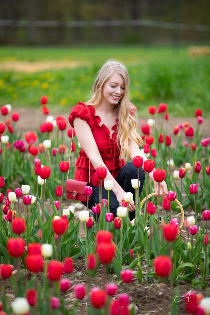 Wicked Tulips Farm Rhode Island