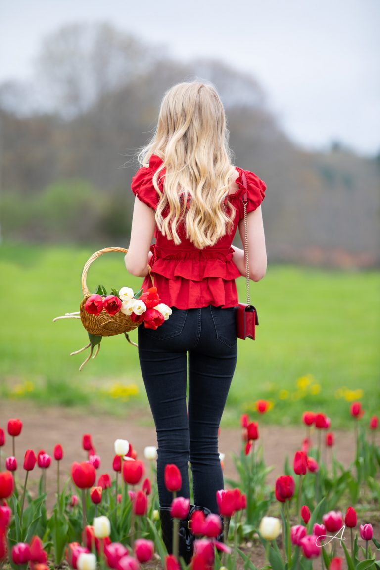 red tulip farm festival photography wicked tulips