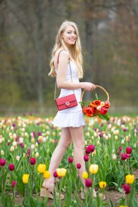 tulip farm photography