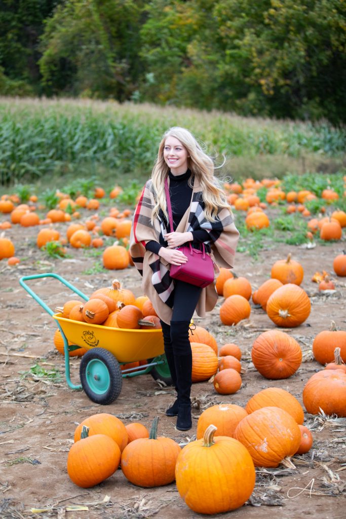 Burberry Poncho plaid pumpkin patch fall