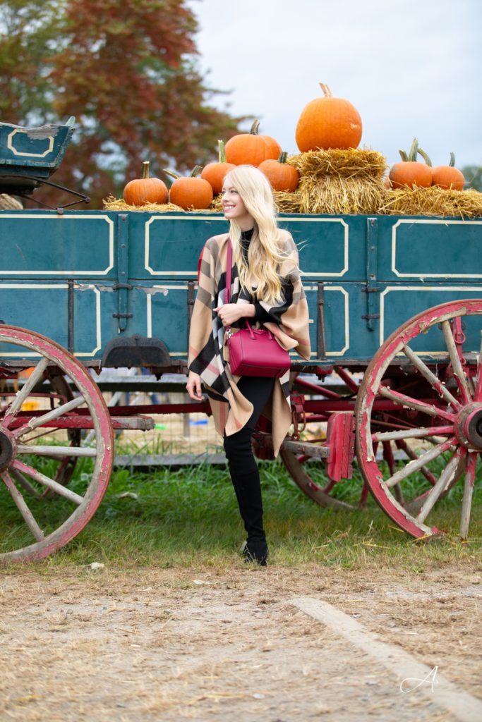 Burberry Poncho plaid pumpkin patch fall