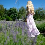 Washington state lavender farm